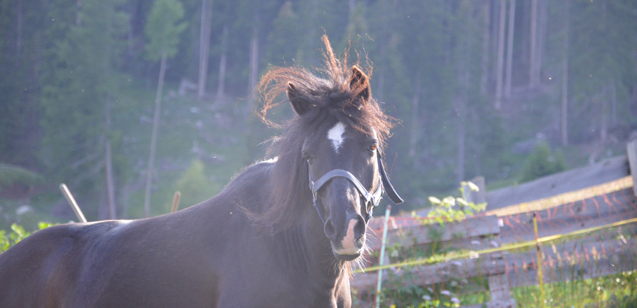 DSC_0023.jpg