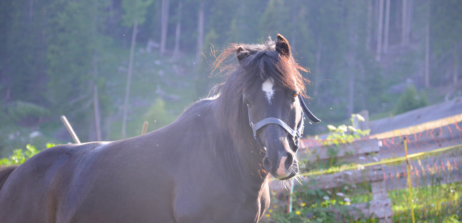 DSC_0024.jpg