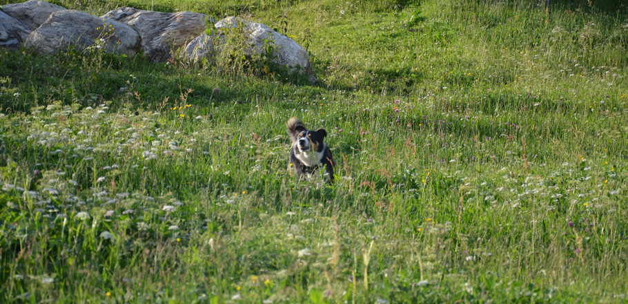 DSC_0026.jpg