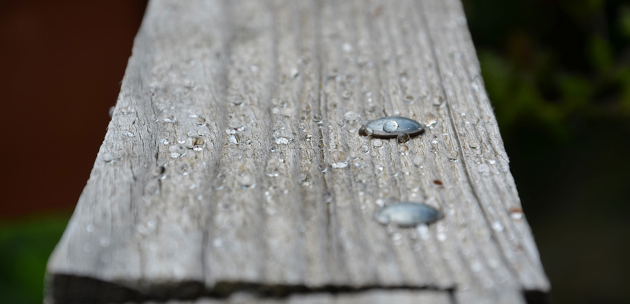 DSC_0049.jpg