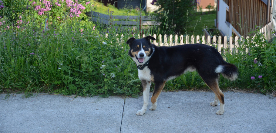 DSC_0053.jpg