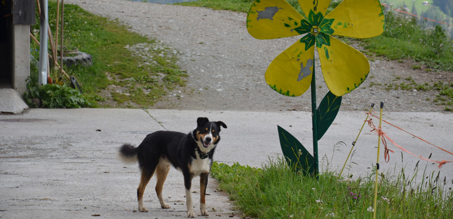 DSC_1386.jpg